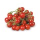 Pomodoro Ciliegino