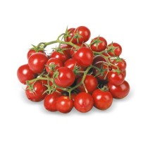 Pomodoro Ciliegino