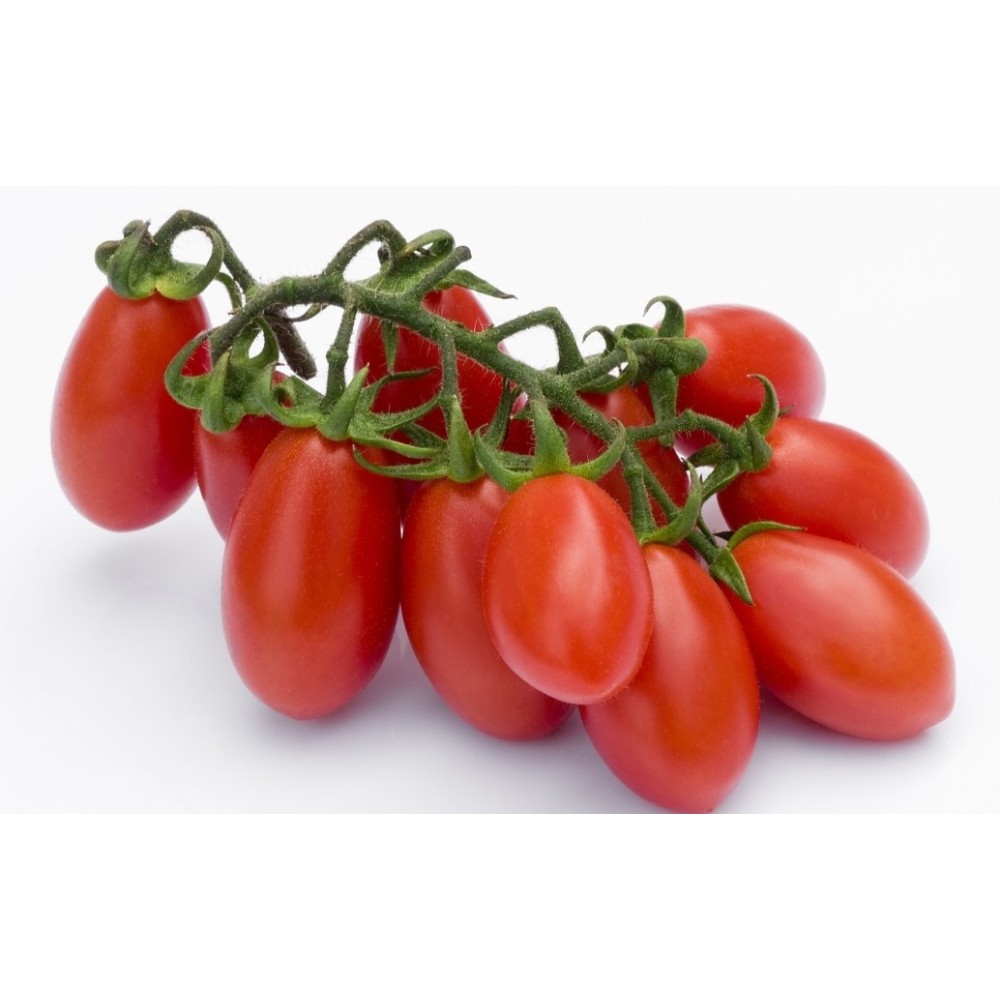 Pomodoro Datterino