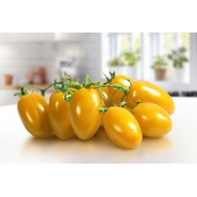 Pomodoro Datterino Giallo