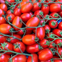 Pomodoro Piccadilly