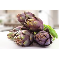 Carciofo Violetto di Sicilia