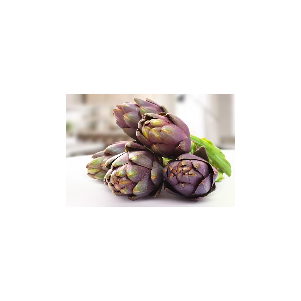 Carciofo Violetto di Sicilia