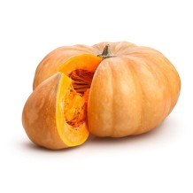 Zucca Muscat