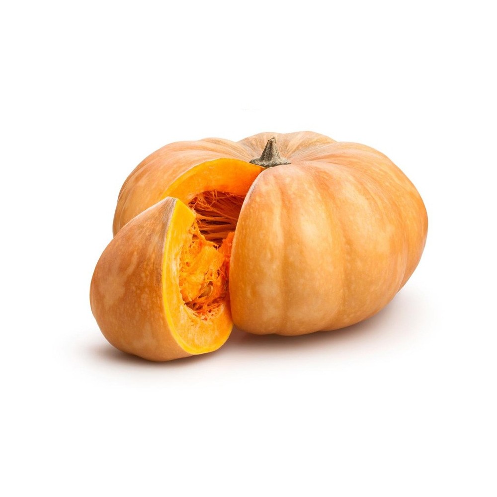 Zucca Muscat