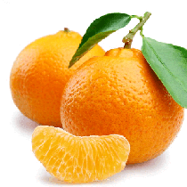 Mandarino di Sicilia