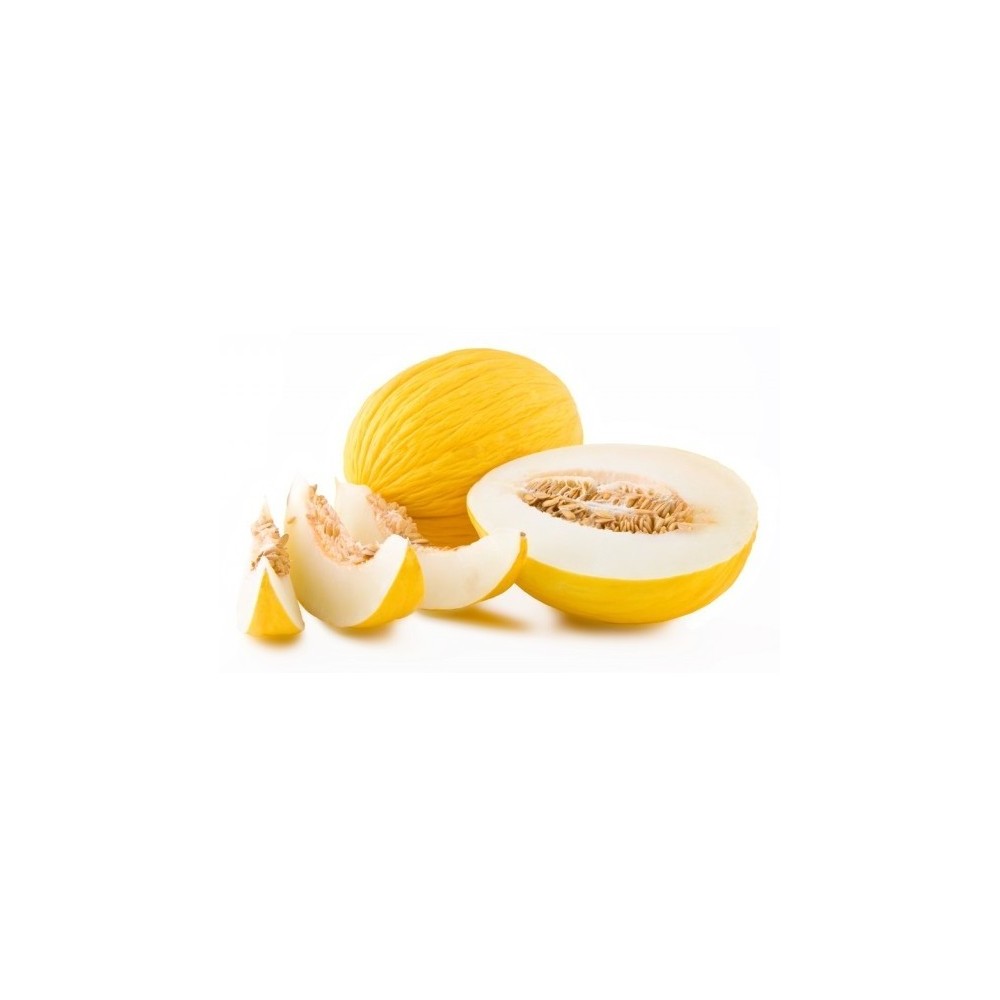 Melone Giallo